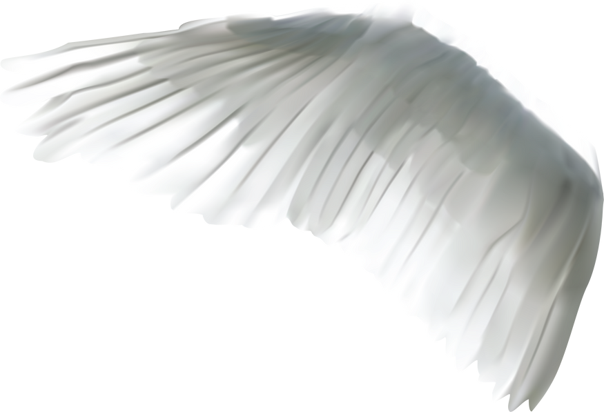 White Wing Cutout